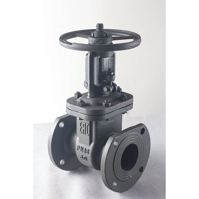 DN50-DN300 Gost Steel Gate Valve