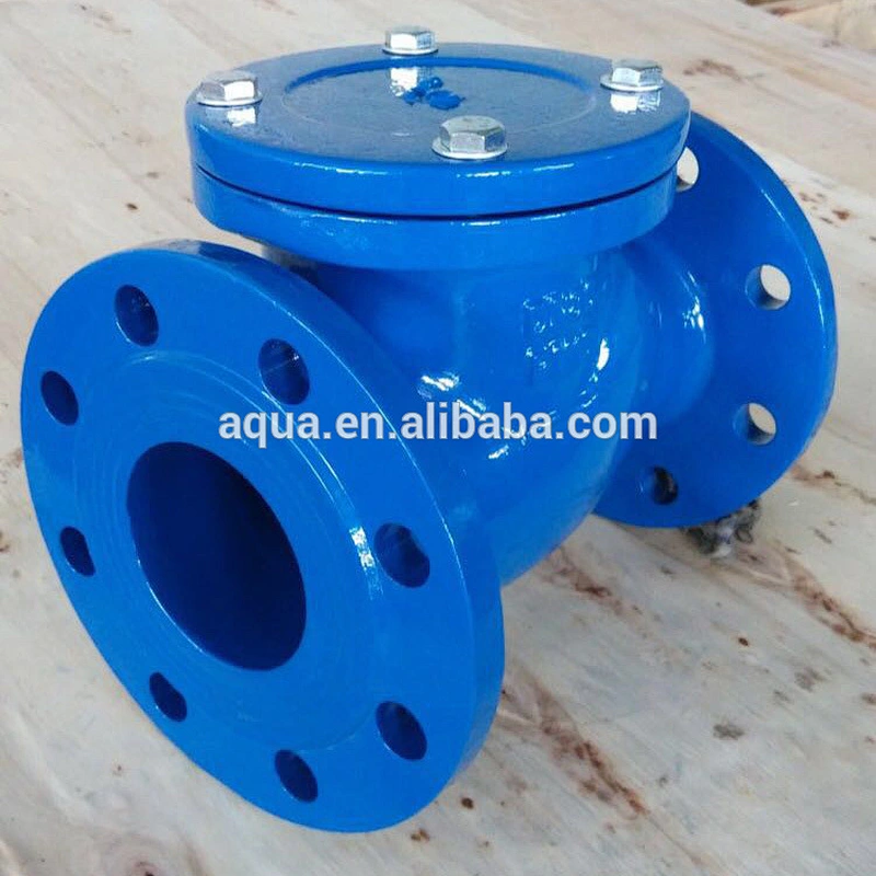 Swing Check Valve