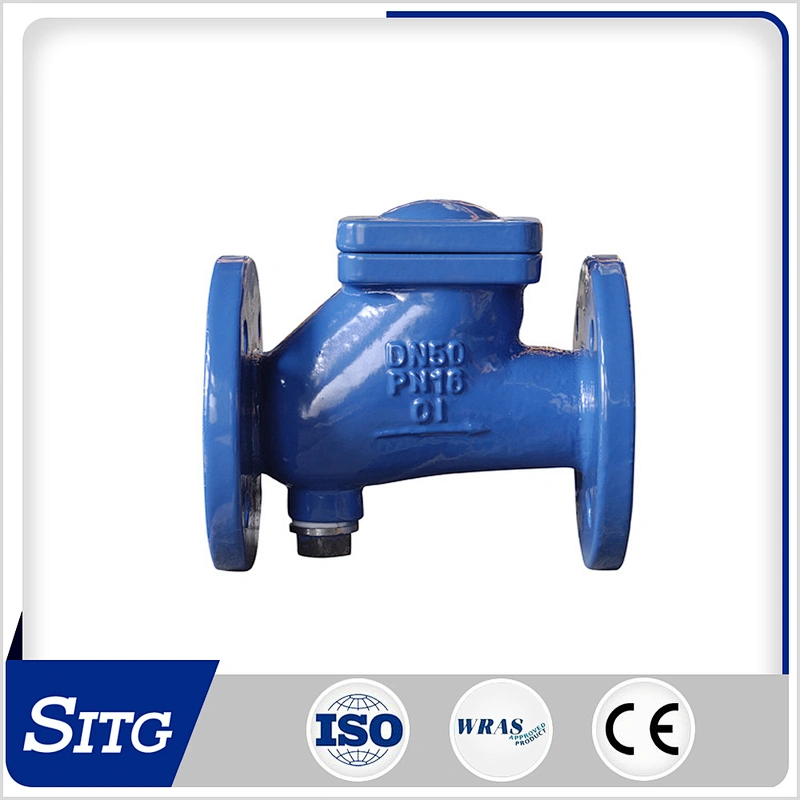 Ductile Iron Ball Check Valve