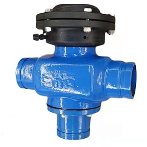 3 inch Ductile iron body Backwash valve