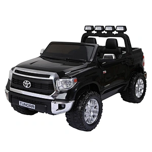 Welldone hot selling model electric kids electric car 24v 2seatr