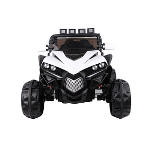Children Toys UTV Electric Car For Kids With Remote WDHS588
