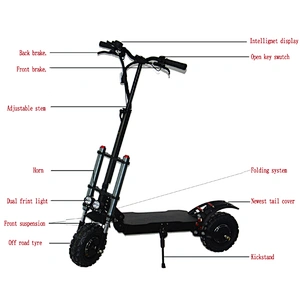 China Cheap Kick Scooters 10 Inch 1000w Two Wheels Moto