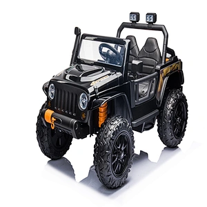 Type XB1118 Electric Car 12v Ride on Cars for Parents and Kids