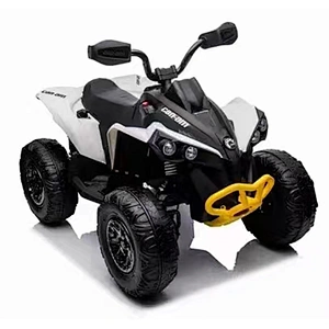 LICENSED 1*12V10AH Battery 4*35W Motors Open Door children ride on car electric car