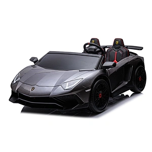 24V Kids ride on sport car with hydraulic scissor doors