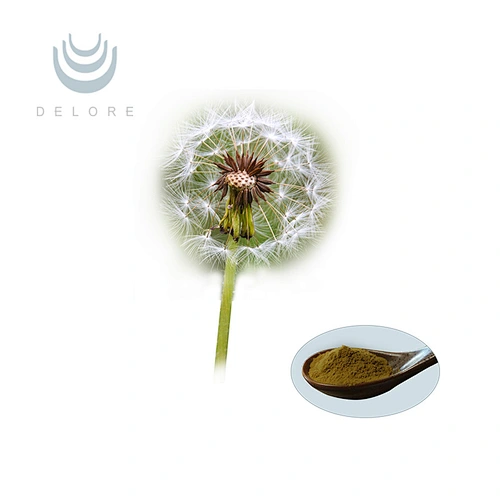 Dandelion Extract