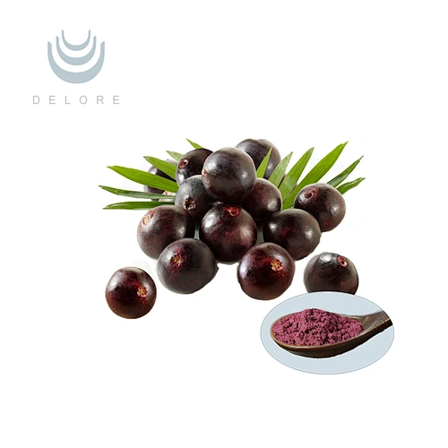 Acai Berry Extract