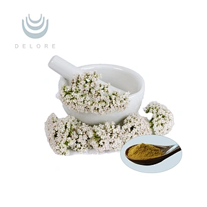 Valerian Extract