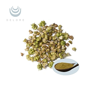 Tribulus terrestris Extract