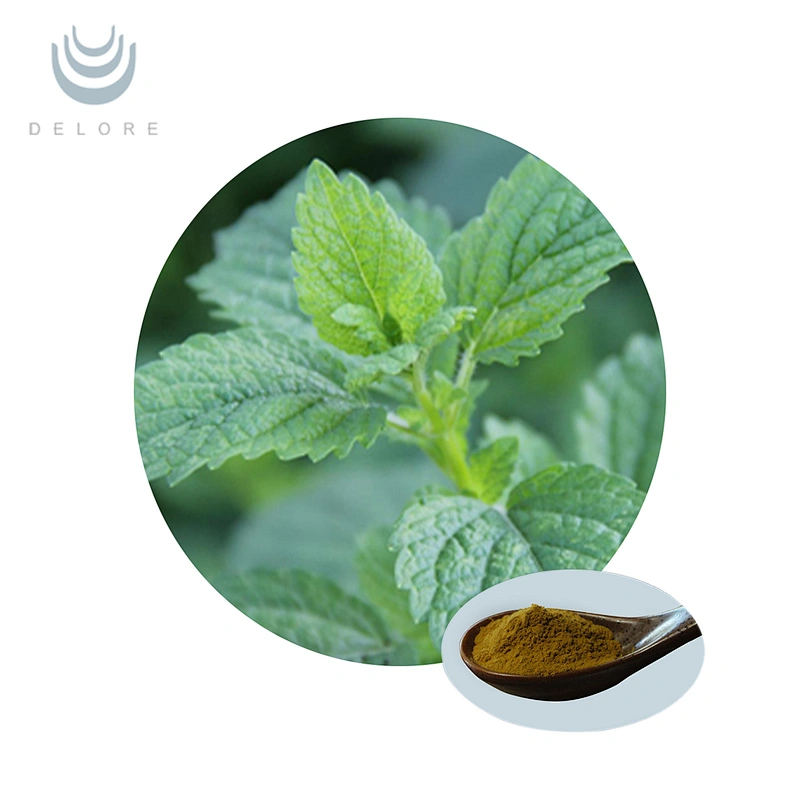 Organic Lemon Balm Extract
