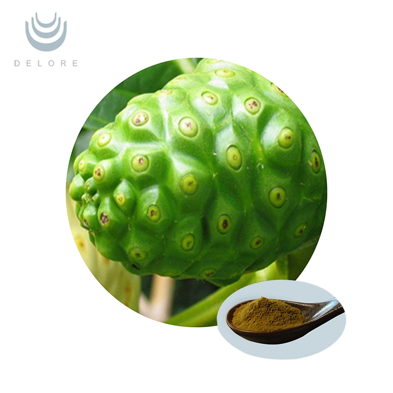 Organic Noni Fruit Powder