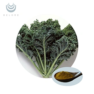 Organic Kale Powder