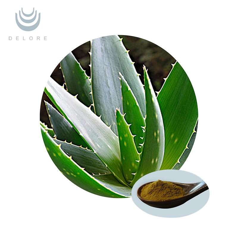 Organic Aloe Vera Extract