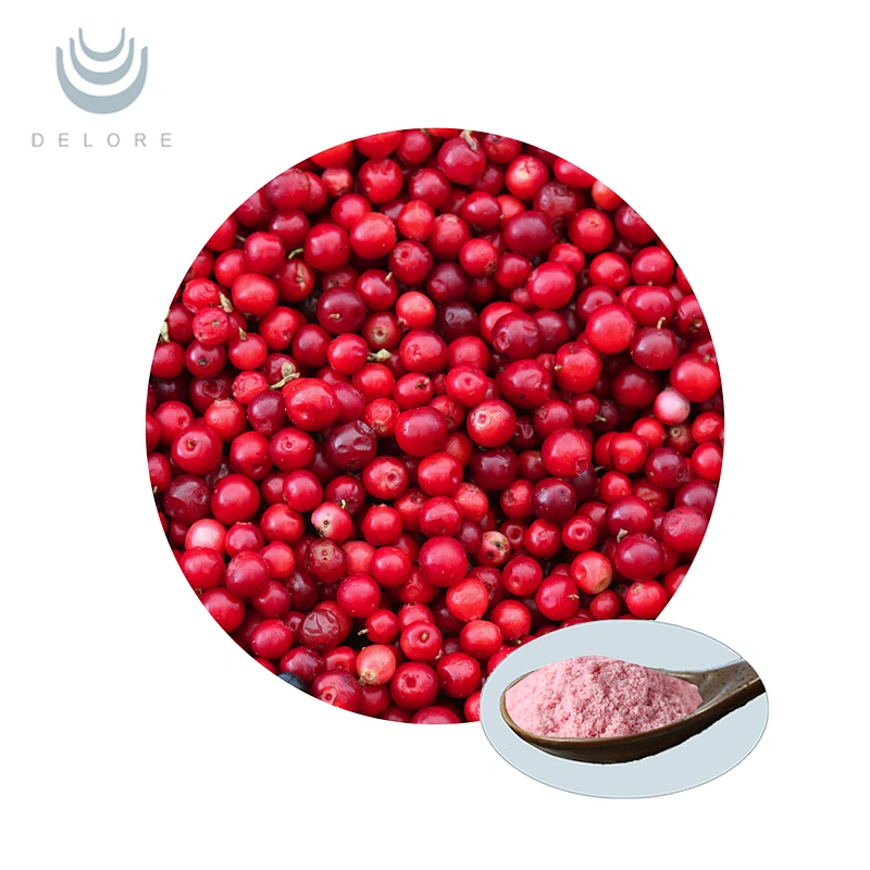 Organic Cranberry Juice Powder