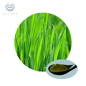 Organic Barley Grass Juice Powder
