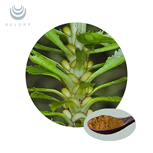 Huperzia Serrate Plant Extract-Huperzine A