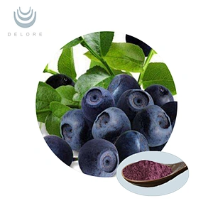 Organic Blueberry Juice Powder