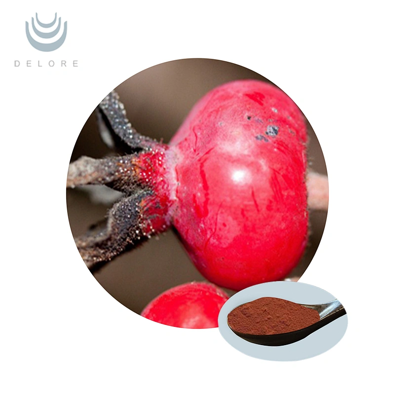Organic fructus rosae powder