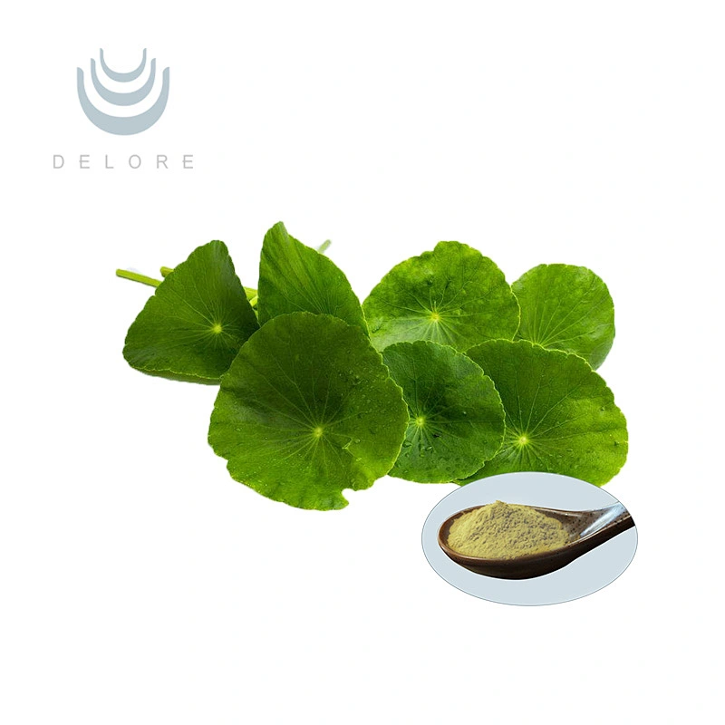 Gotu Kola Extract-Asiaticoside