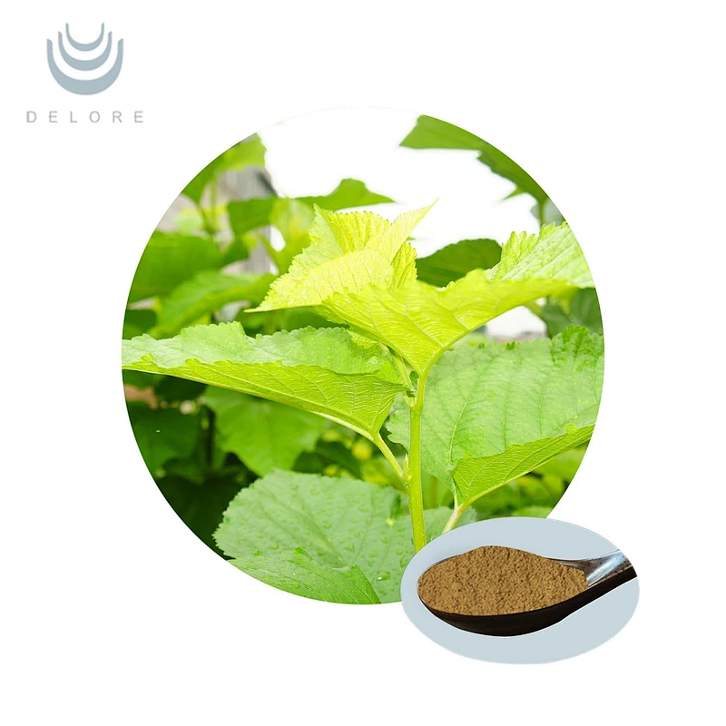 Mulberry leaf extract