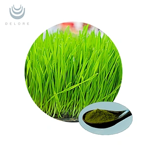 Organic Wheat Grass Juice Powder