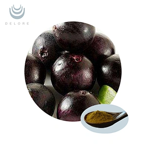 Organic Acai Fruit Powder
