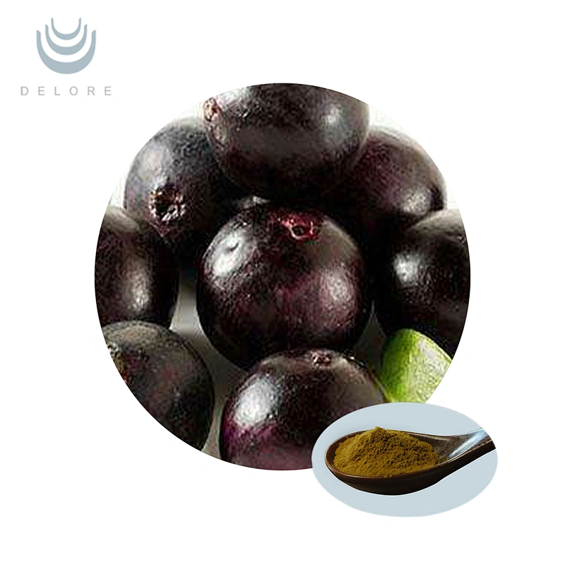 Organic Acai Fruit Powder