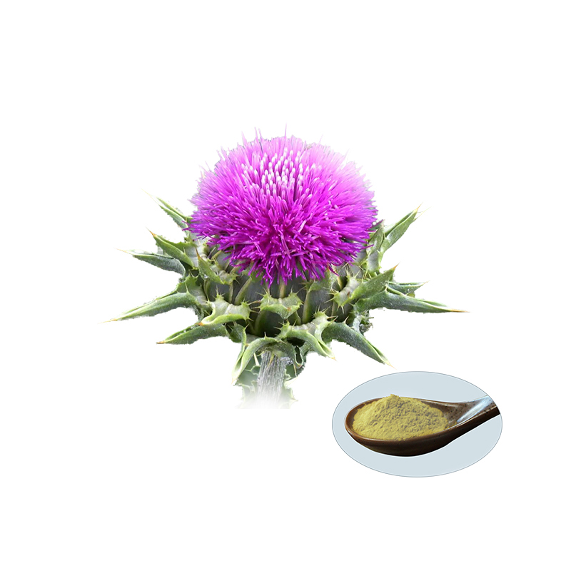 Milk Thistle Extract