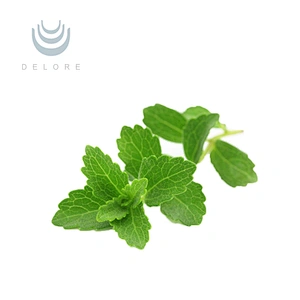 Stevia Leaf Extract - Steviol Glycosides 80%~99%