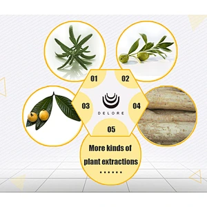 Monk Fruit Extract - Monk Fruit Powder