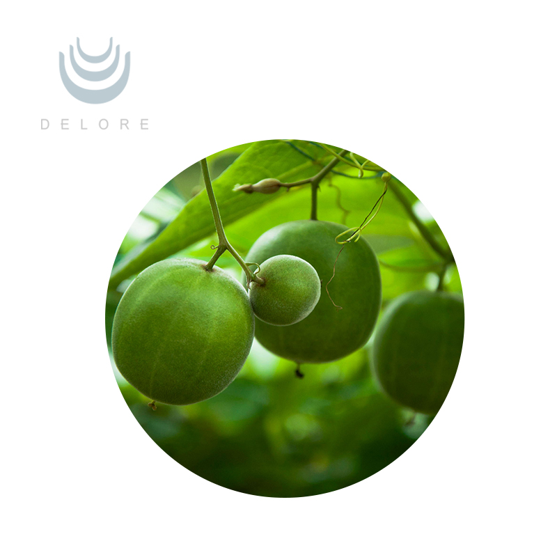 fruit extract Chewing gum sweetener Free sample private label Monk Fruit Extract Natural Sweetener Luo Han Guo Extract