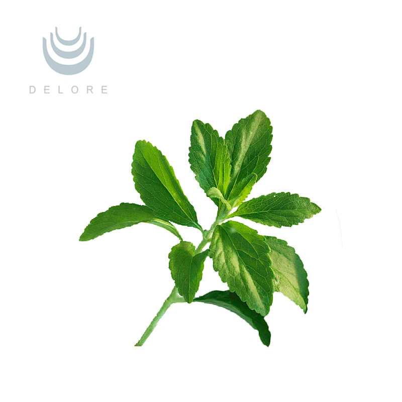Stevia Extract