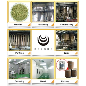 Factory supply Oganic Monk Fruit Extract Luo Han Guo Extract Mogroside V Sweetness