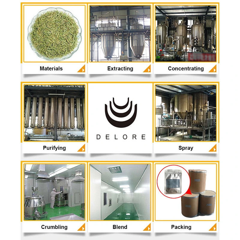Factory supply Oganic Monk Fruit Extract Luo Han Guo Extract Mogroside V Sweetness