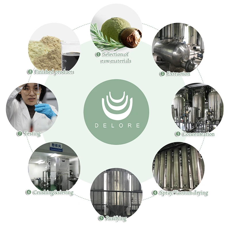 Monk Fruit Powder - Extract Mogroside V