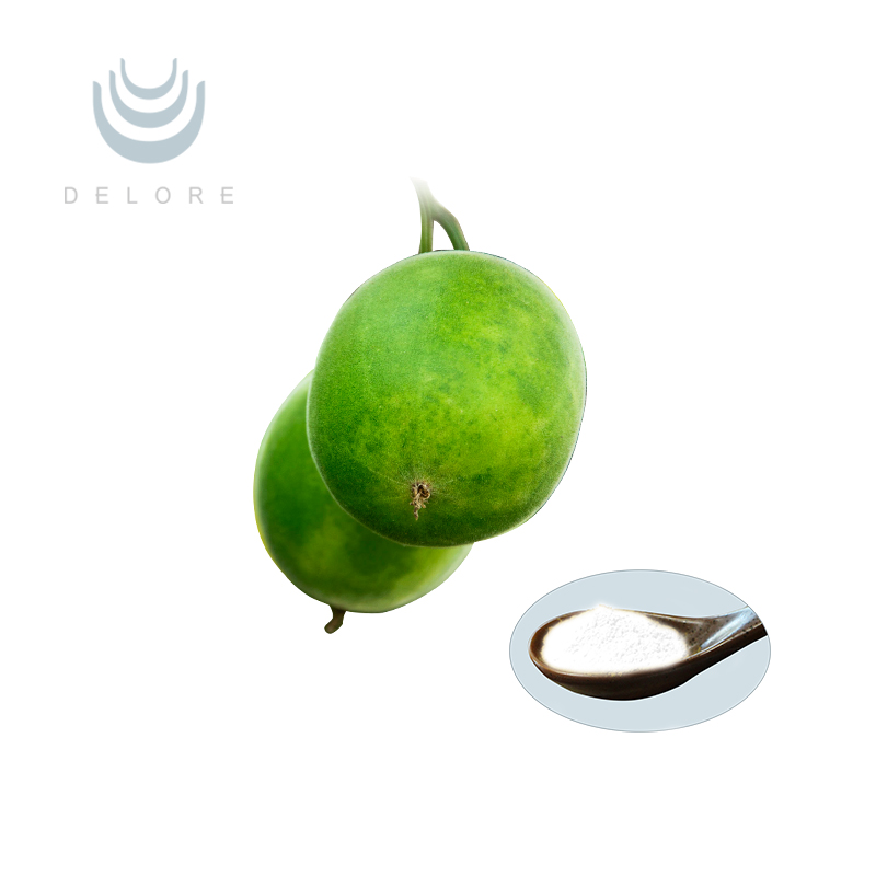 Monk Fruit Powder - Extract Mogroside V