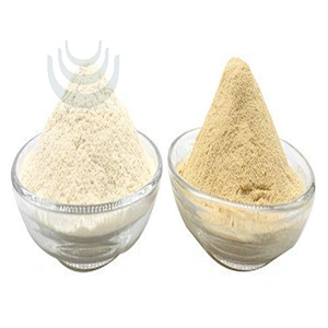 Monk Fruit Extract
