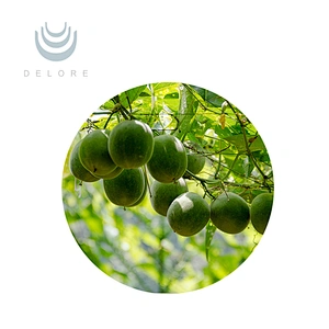 Monk Fruit Extract - Monk Fruit Erythritol Blend