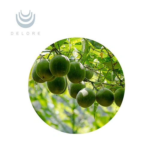 Monk Fruit Extract - Monk Fruit Erythritol Blend