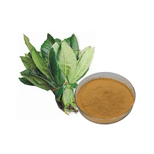 Loquat Leaf Extract - Corosolic Acid