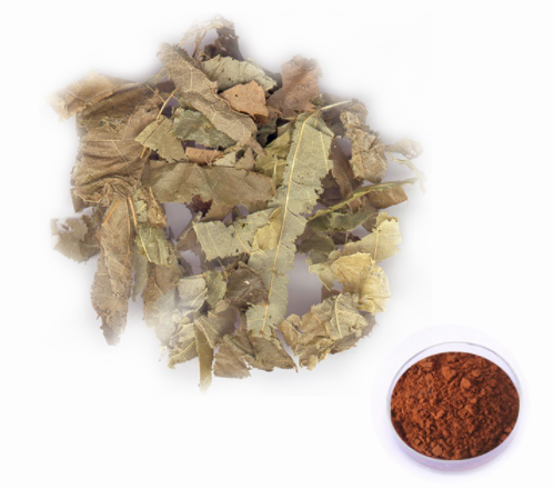 Epimedium Extract - Icariin