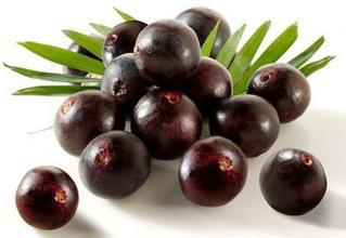 Saw Palmetto Extract - Fatty Acid