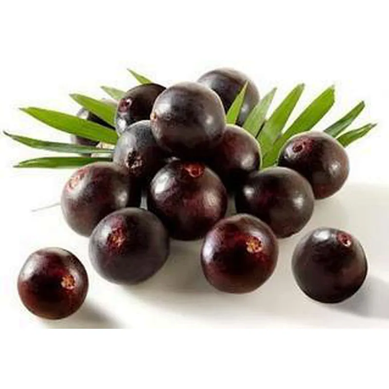 Saw Palmetto Extract - Fatty Acid