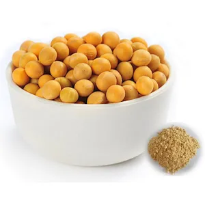 Soybean Extract -Soy Isoflavone