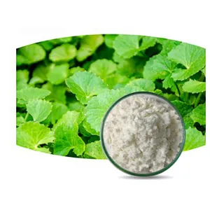Gotu Kola Extract