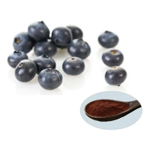 Bilberry Extract - Anthocyanidins