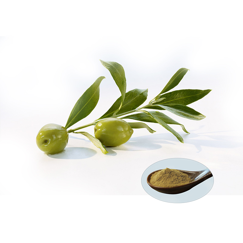Olive Leaf Extract - Hydroxytyrosol