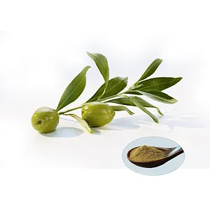 Olive Leaf Extract - Hydroxytyrosol