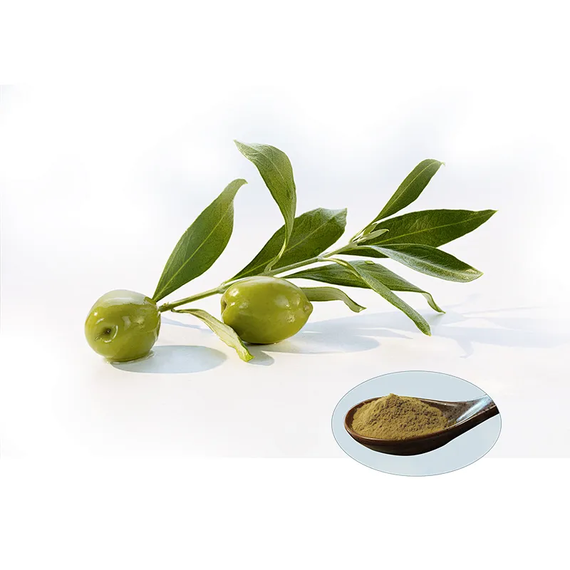 Olive Leaf Extract - Hydroxytyrosol